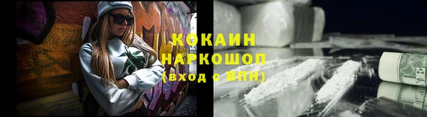 мет Алексин