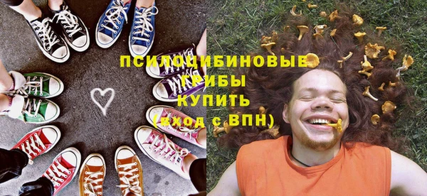 твердый Алзамай