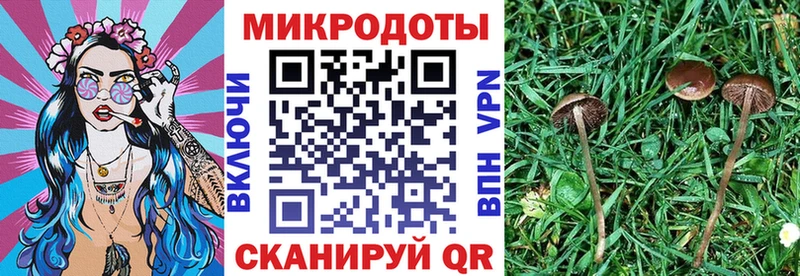 закладки  Слюдянка  блэк спрут рабочий сайт  Псилоцибиновые грибы MAGIC MUSHROOMS 